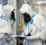 На Кубани за сутки зарегистрировали 100 пациентов с COVID-19 - Газета Власть Советов