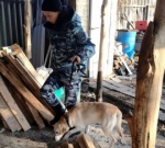 Полицейские задержали планировавшего сбыт сильнодействующего лекарства жителя района